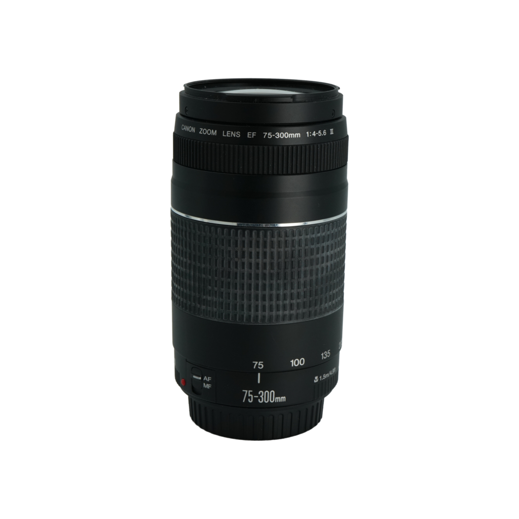 Canon EOS Rebel T3 Camera with Canon EF 18-55mm f/3.5-5.6 II and EF 75-300mm f/4-5.6 III Lens Kit