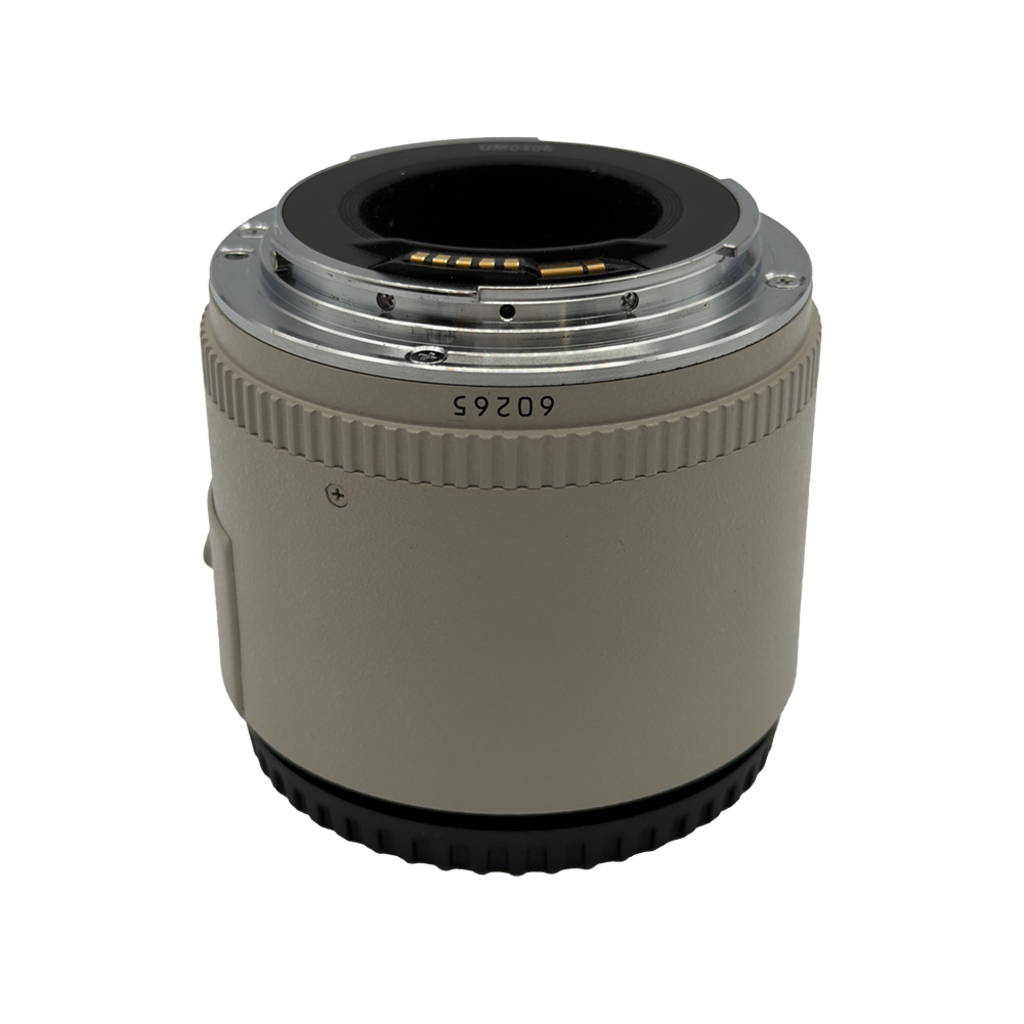 Canon 2X EF Extender
