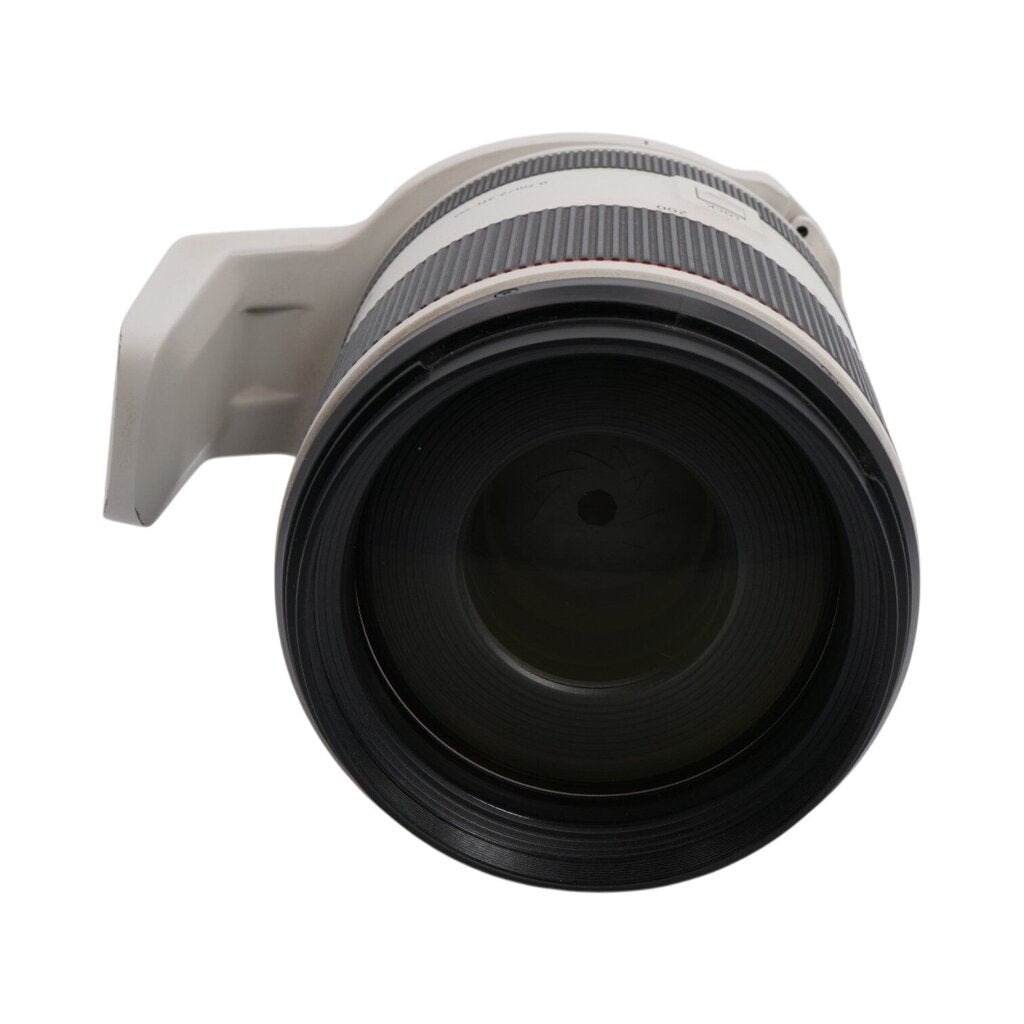 Canon RF 70-200mm f/2.8 L IS USM Full-frame Mirrorless Lens