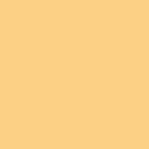 Superior Seamless Paper 107-inch x 36-Foot Rolls