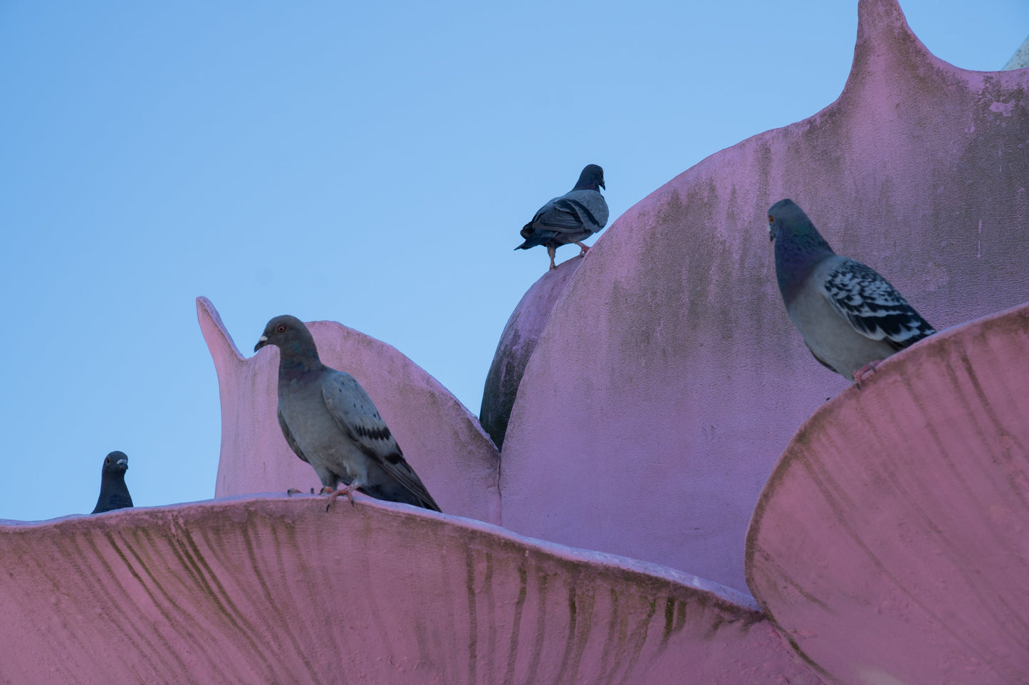 Sigma 18-50mm f/2.8 DC DN Contemporary Lens