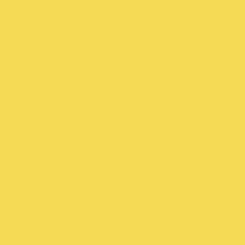 Superior Seamless Paper 107-inch x 36-Foot Rolls