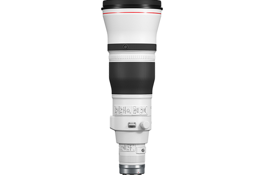 Canon RF 600mm f/4 L IS USM Lens
