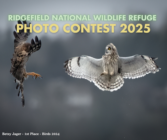 Ridgefield National Wildlife Refuge Photo Contest 2025