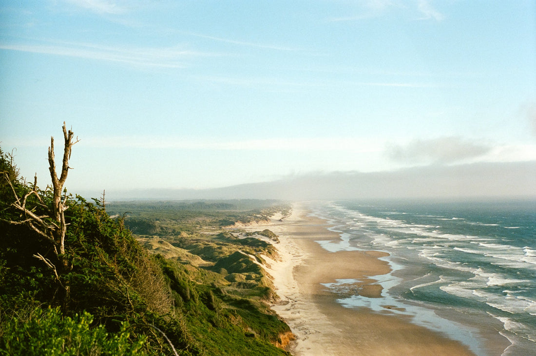 2025 Summer Film Photo Contest Winners