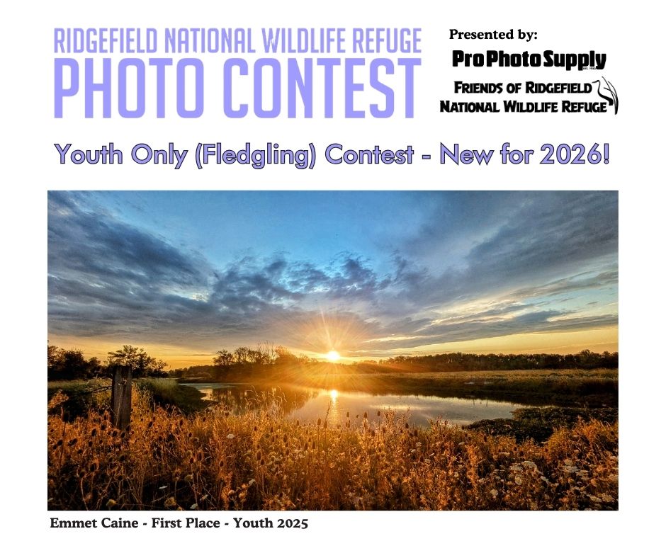 Ridgefield National Wildlife Refuge Youth Photo Contest 2026