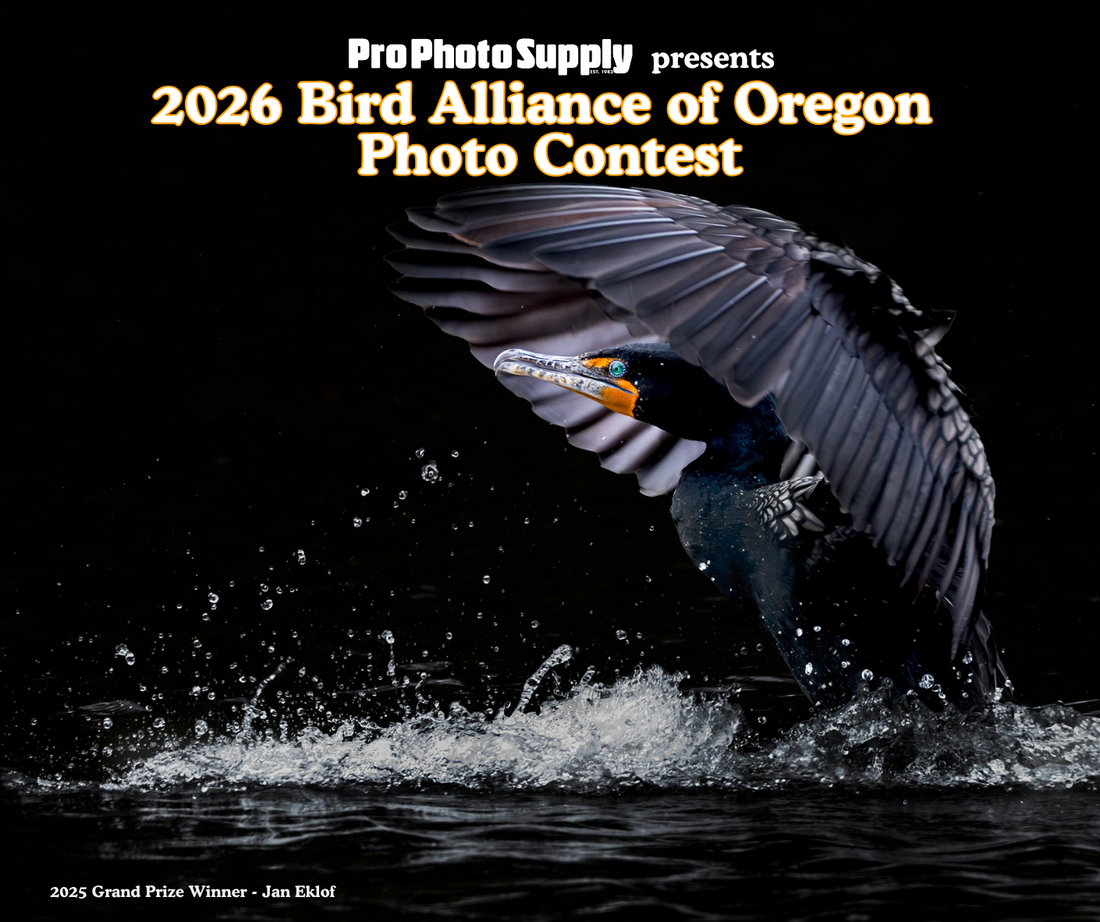 Bird Alliance of Oregon Photo Contest 2026