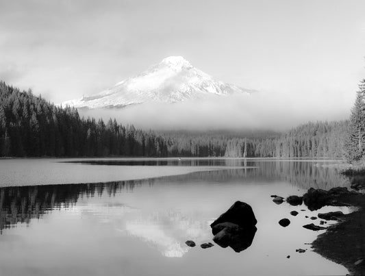 Store Gallery for October 2024: Summer Film Photo Contest Winners