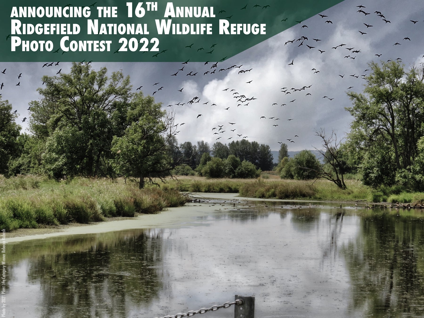 16th Annual Ridgefield National Wildlife Refuge Photo Contest 2022