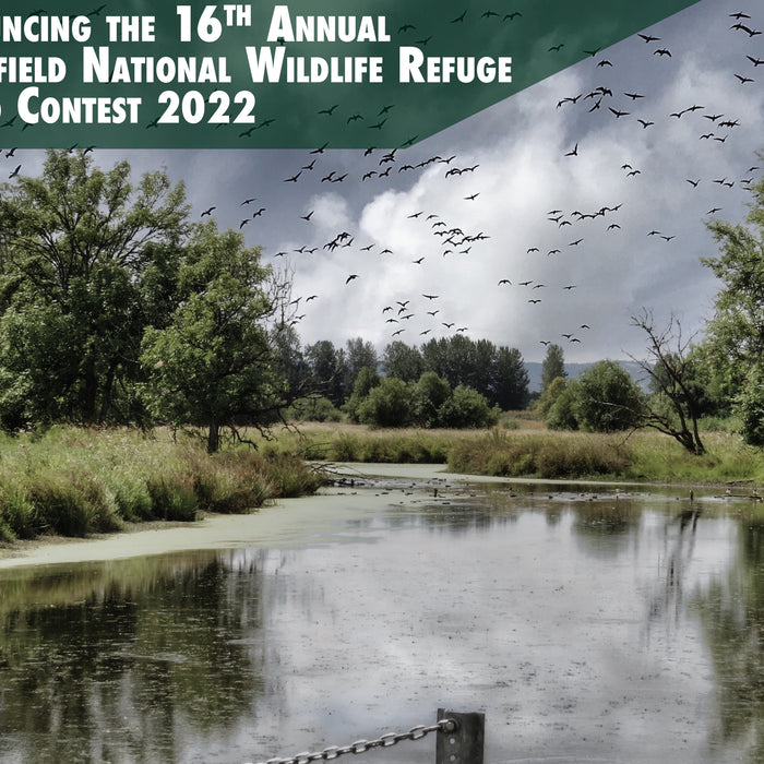 16th Annual Ridgefield National Wildlife Refuge Photo Contest 2022