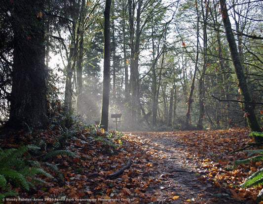 2021 Forest Park Conservancy Photography Contest