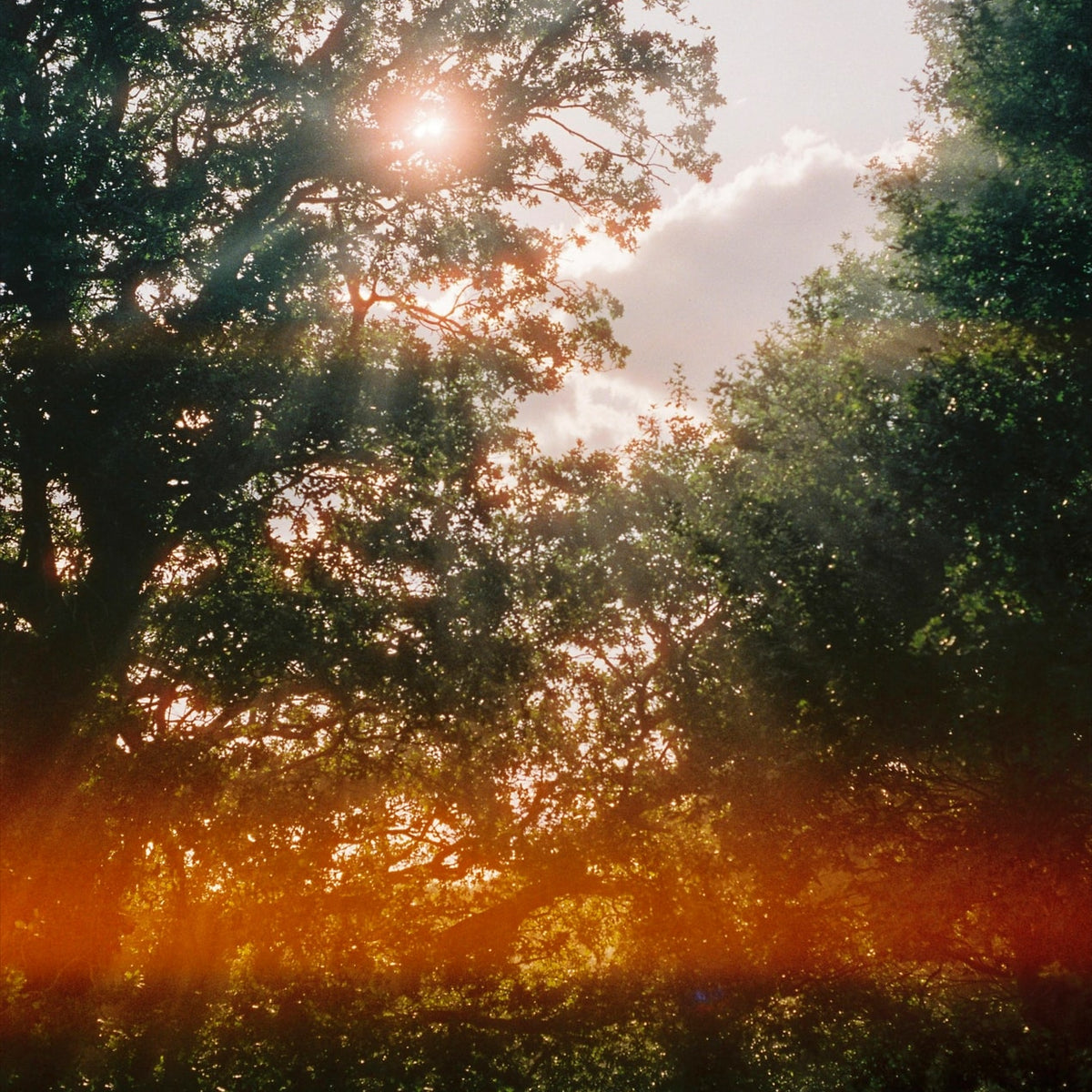 How To Choose a Metering Mode — Pro Photo Supply