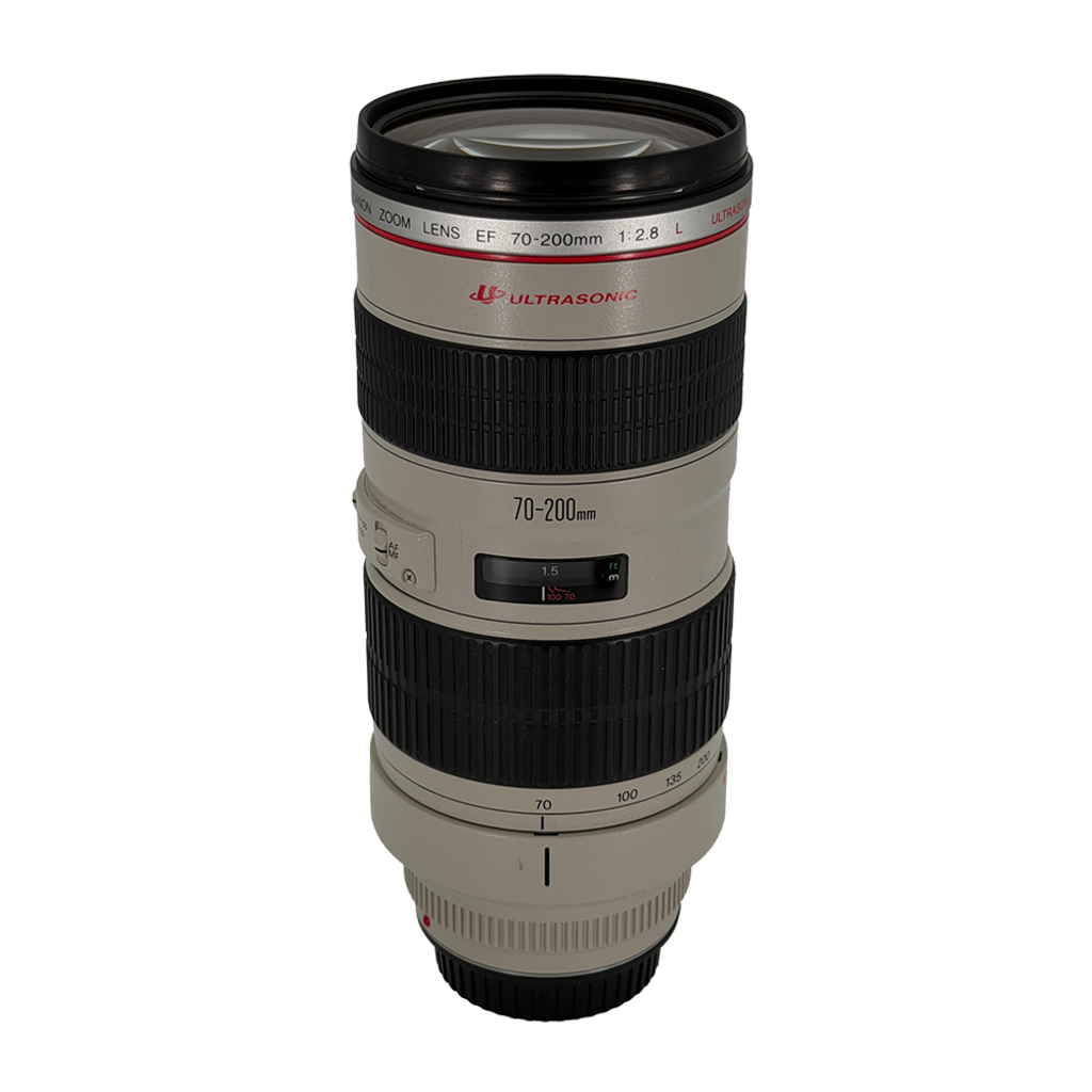 Canon EF 70-200mm L USM Full-frame DSLR Lens (FUNGUS)