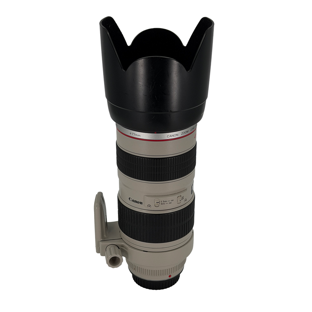 Canon EF 70-200mm L USM Full-frame DSLR Lens (FUNGUS)