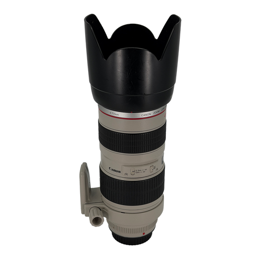 Canon EF 70-200mm L USM Full-frame DSLR Lens (FUNGUS)