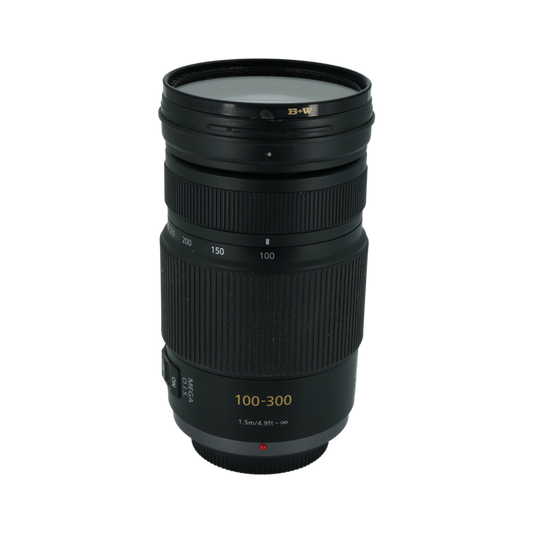 Panasonic Lumix 100-300mm f/4-5.6 Micro Four Thirds telephoto super zoom lens