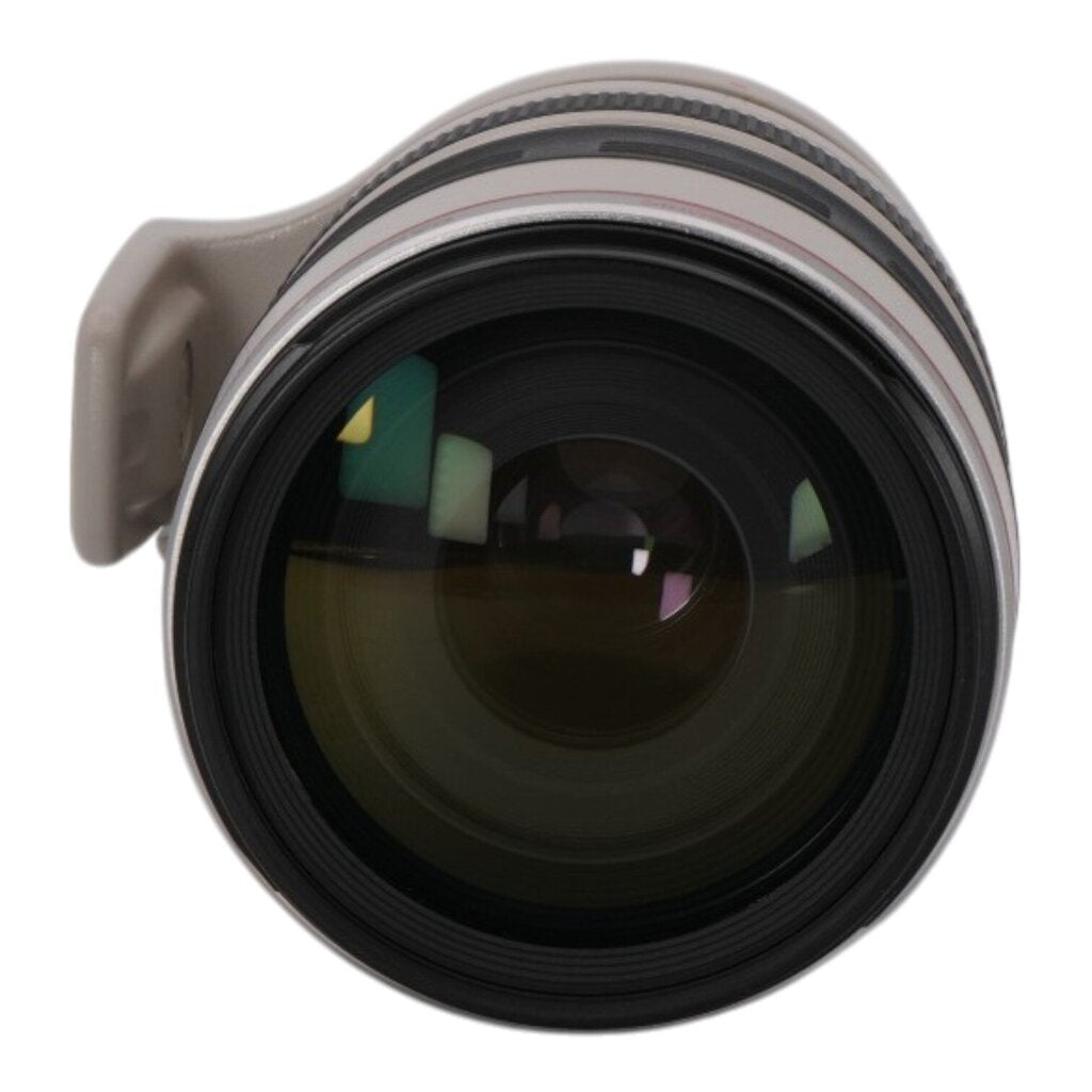 Canon EF 100-400mm f/4.5-5.6 L IS Full-Frame DSLR Lens