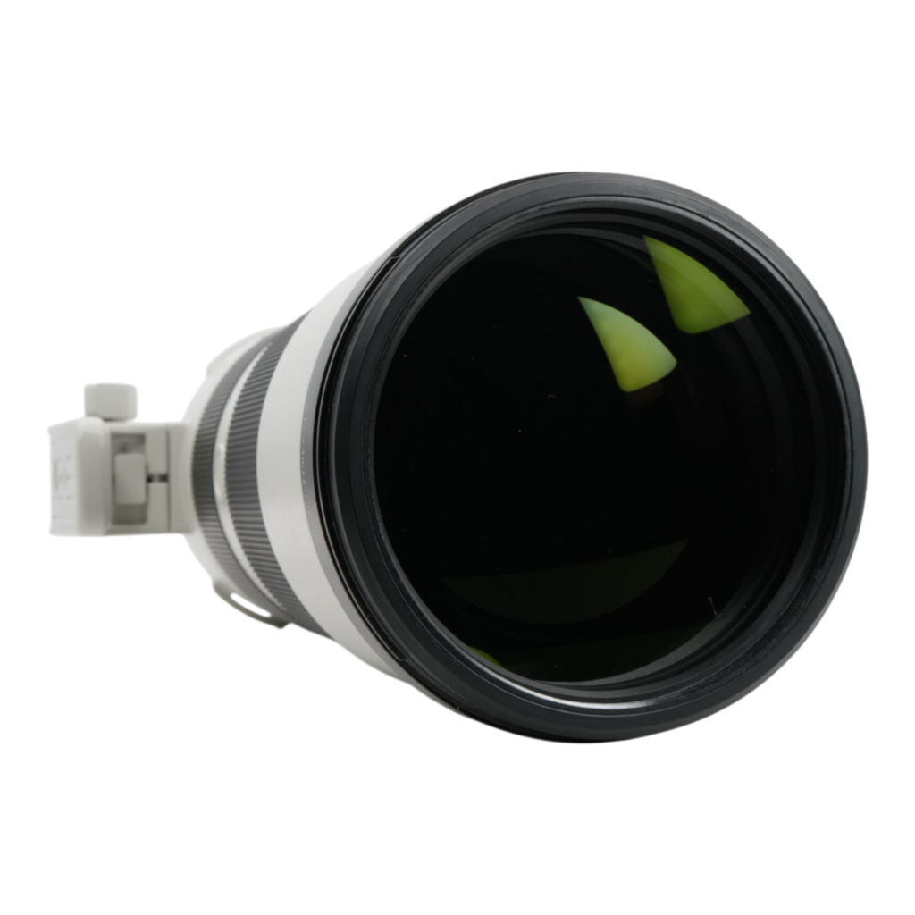 Sony FE 200-600mm f/5.6-6.3 G OSS Full-frame Mirrorless Lens