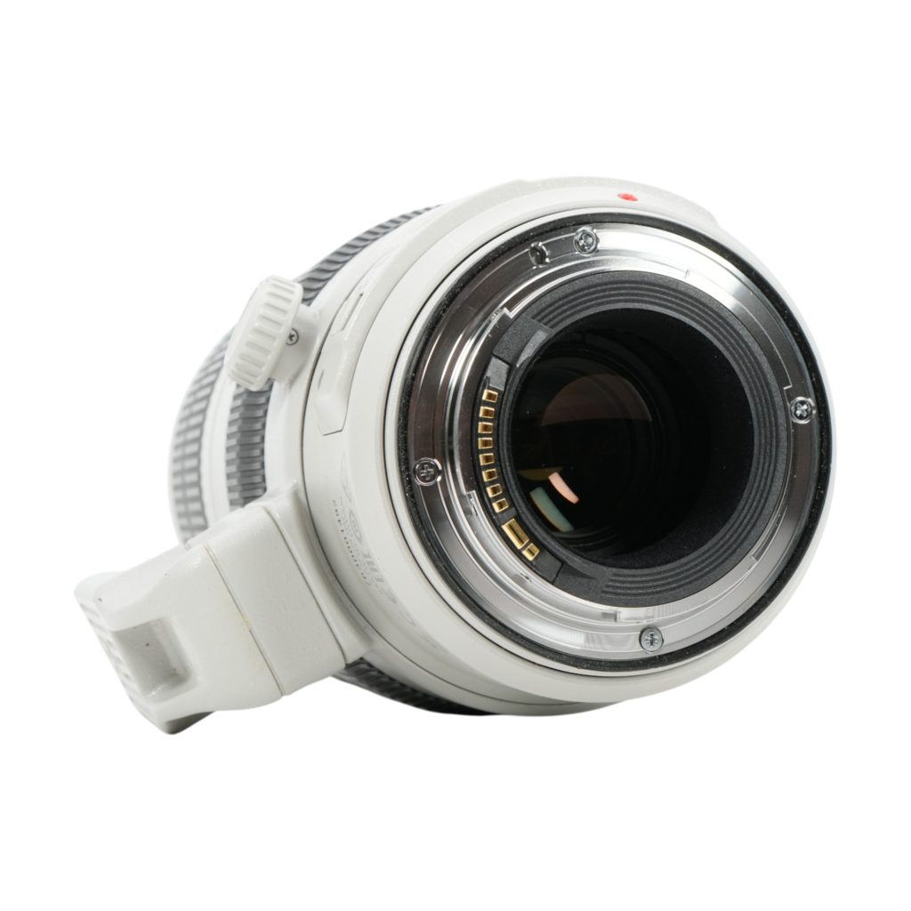 Canon EF 100-400mm f/4.5-5.6 L IS II USM Full-frame DSLR Lens