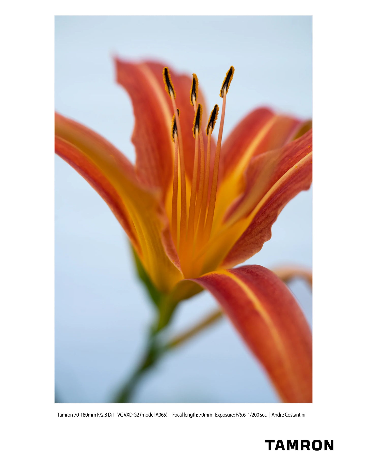 Tamron 70-180mm f/2.8 DI III VC VXD G2 Lens - Nikon Z Mount