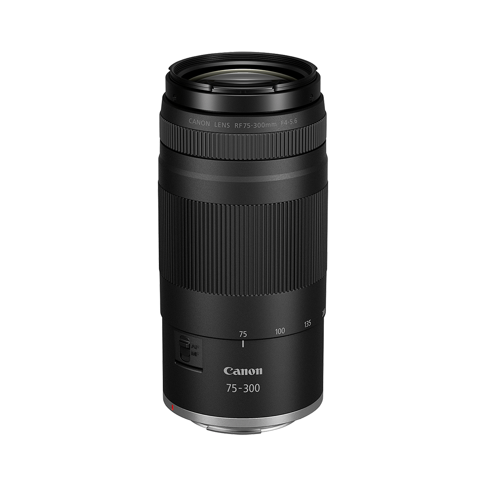 Canon EOS R100 Digital Mirrorless Camera