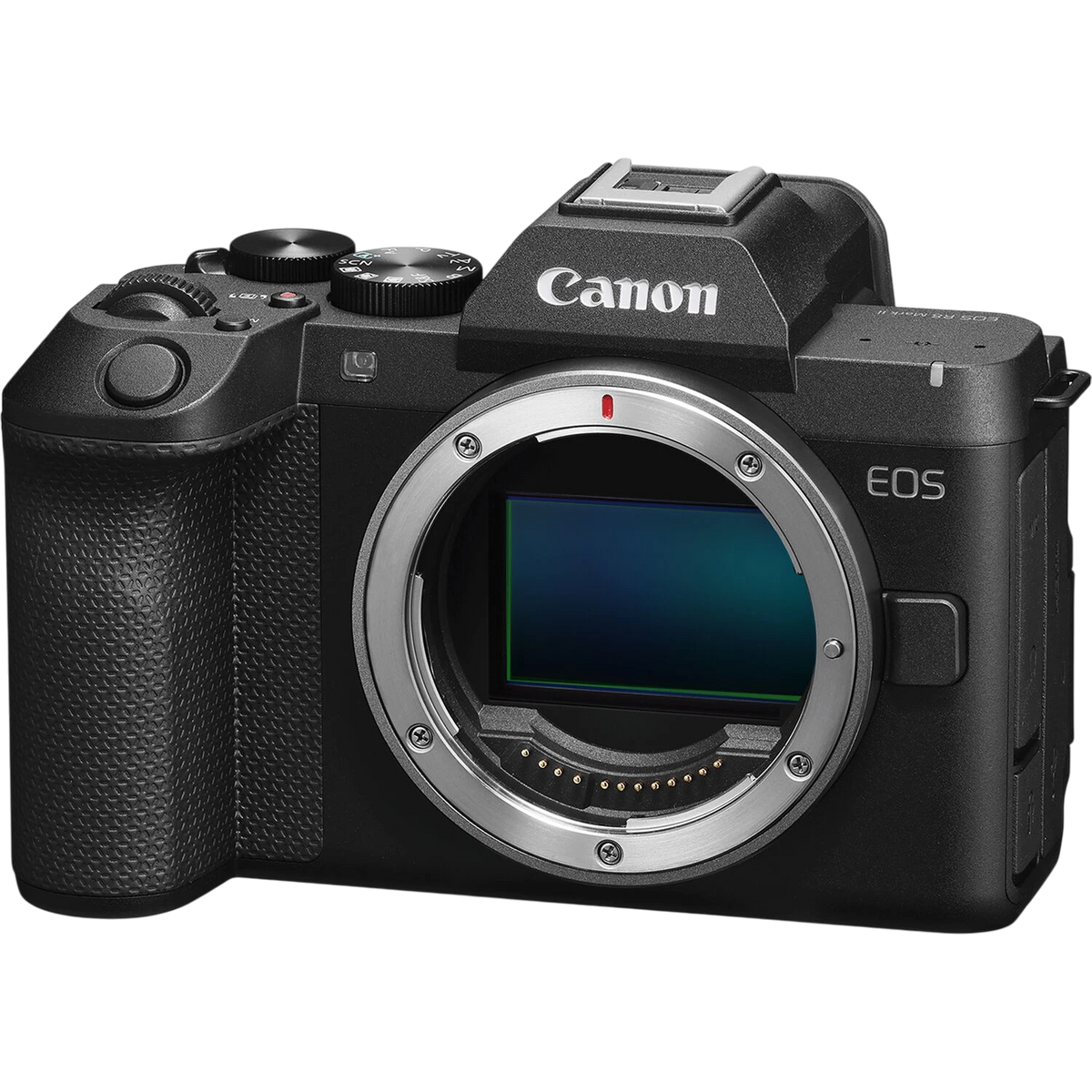 Canon EOS R8 Mark II Mirrorless Camera