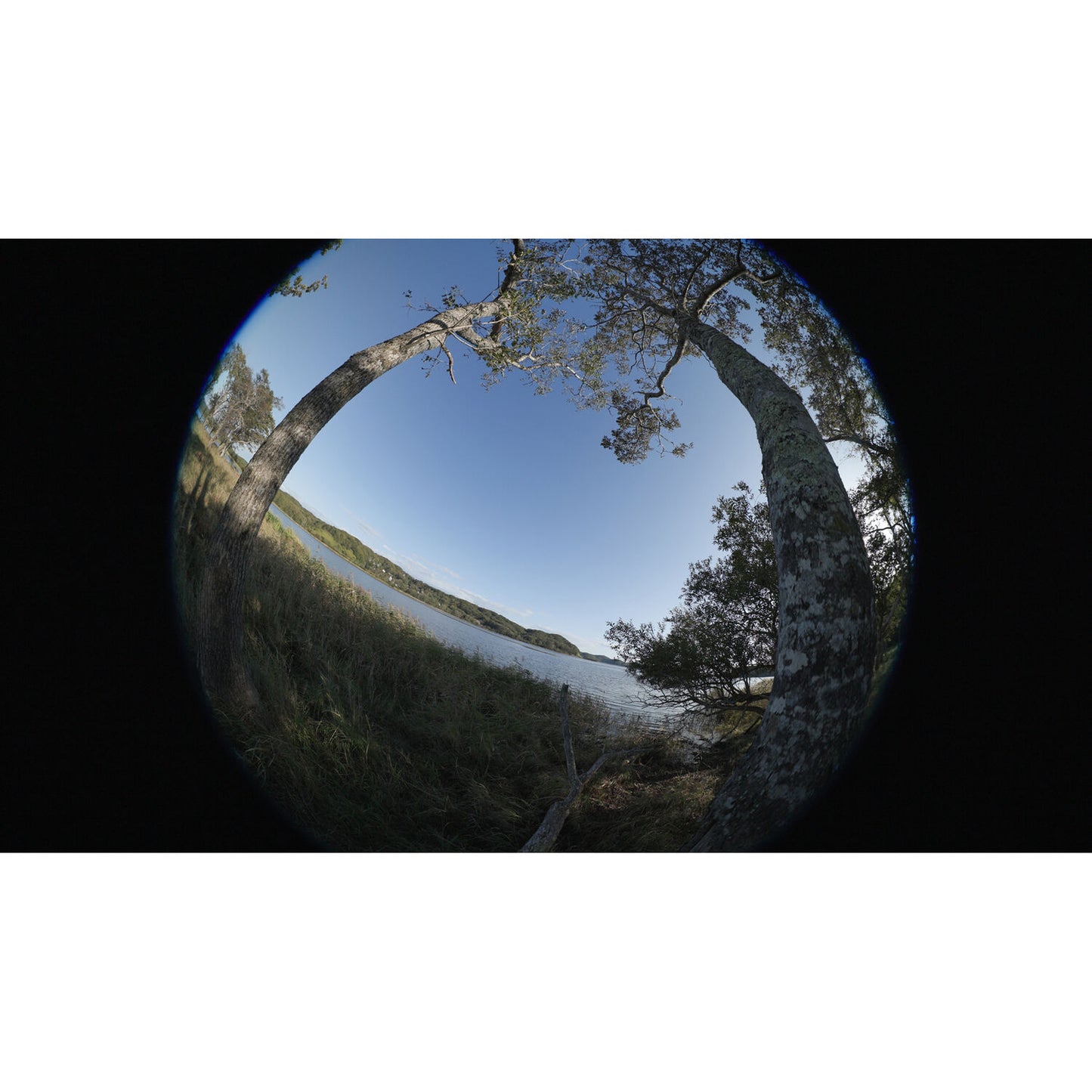 Canon RF 7-14mm f/2.8-3.5 L Fisheye STM Lens