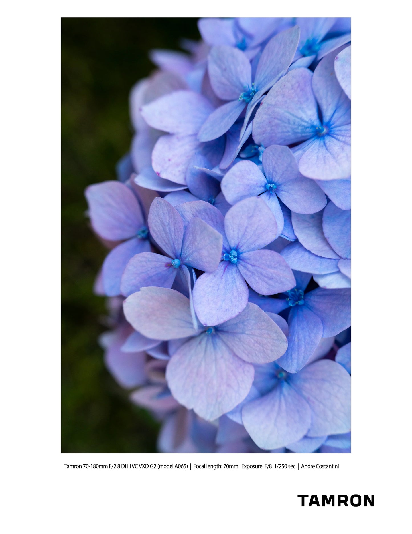 Tamron 70-180mm f/2.8 DI III VC VXD G2 Lens - Nikon Z Mount