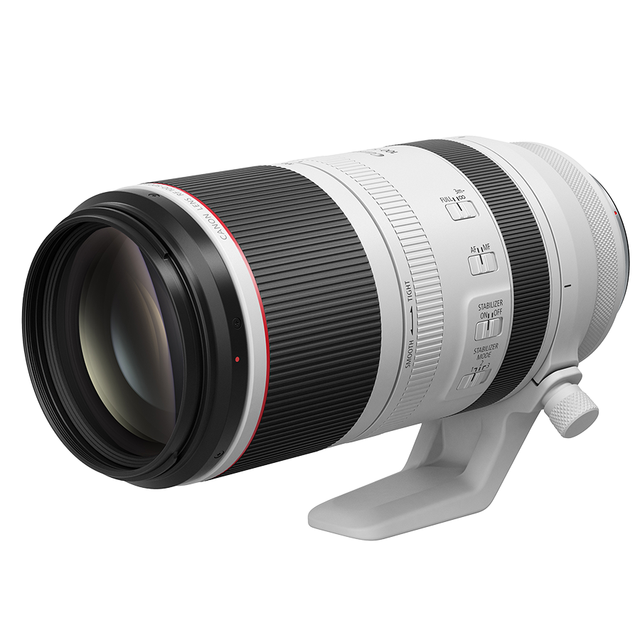 Canon RF 100-500mm f/4.5-7.1 L IS USM Lens