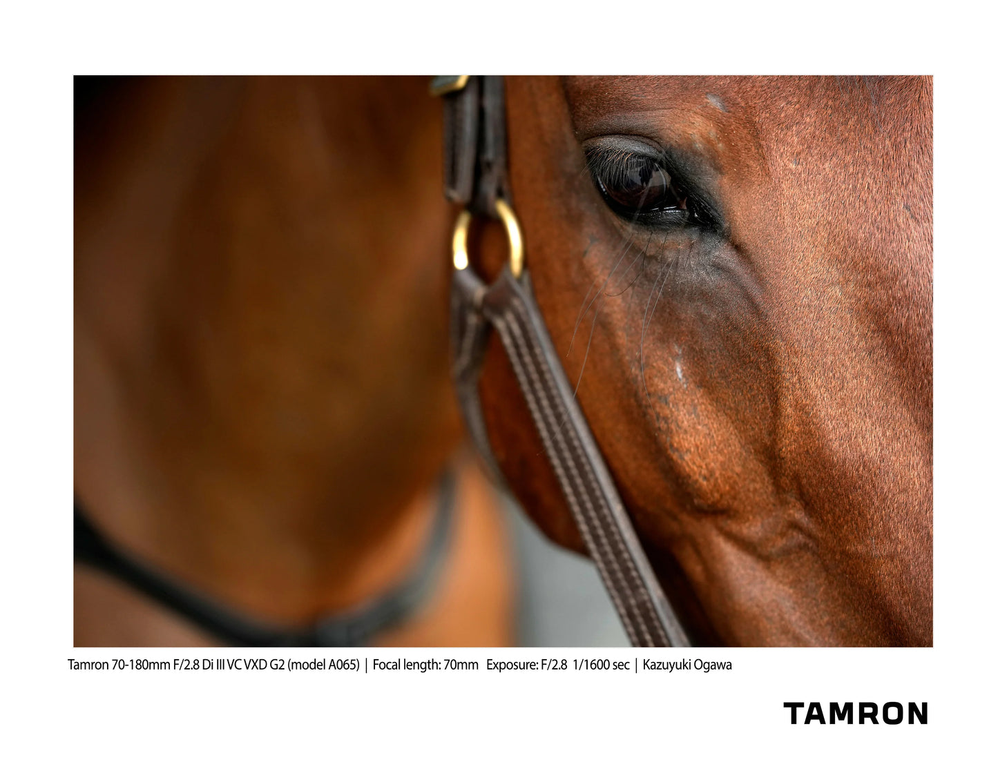 Tamron 70-180mm f/2.8 DI III VC VXD G2 Lens - Nikon Z Mount