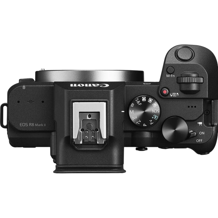 Canon EOS R8 Mark II Mirrorless Camera