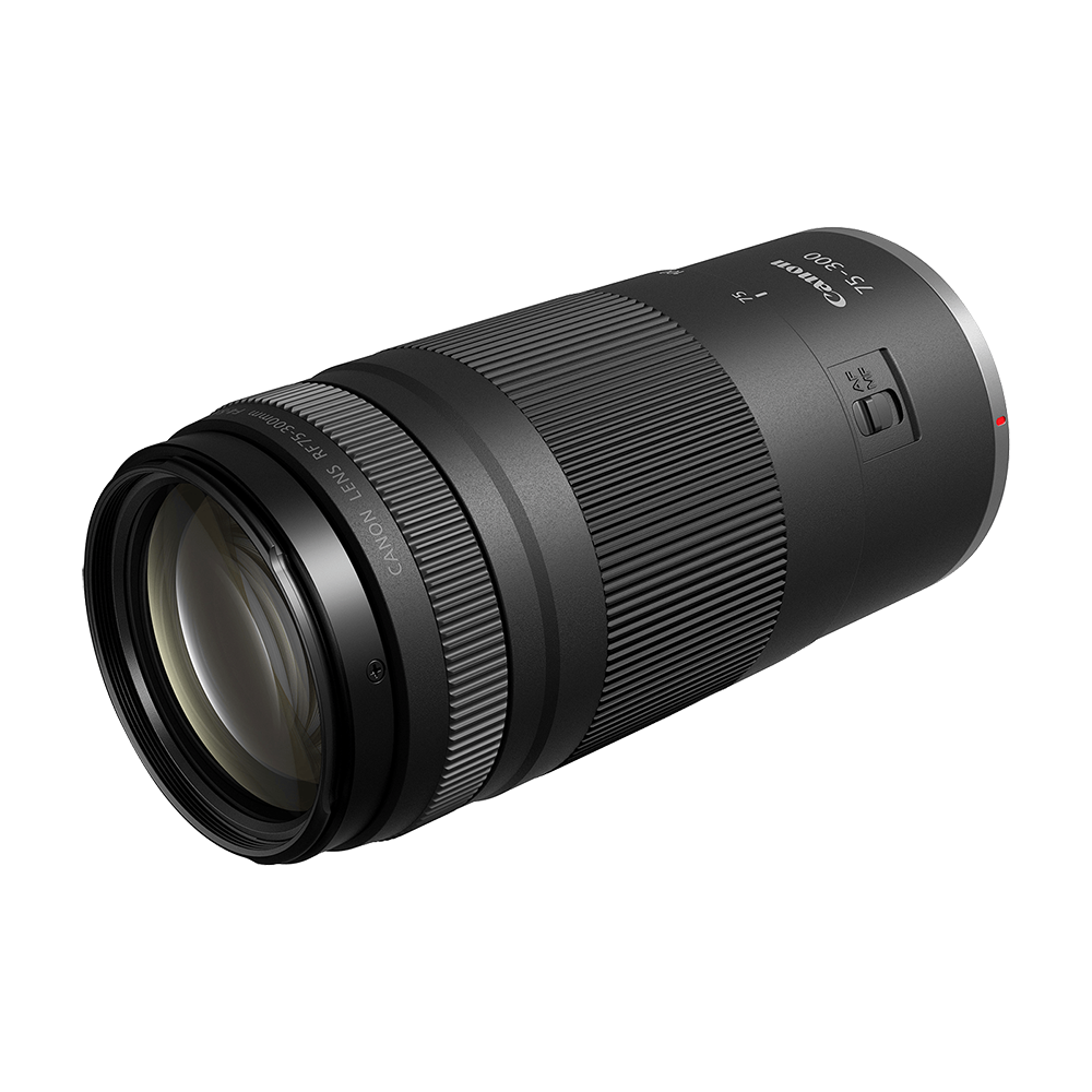 Canon EOS R100 Digital Mirrorless Camera