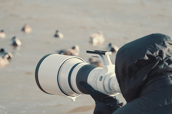 Canon RF 800mm F5.6 L IS USM Lens