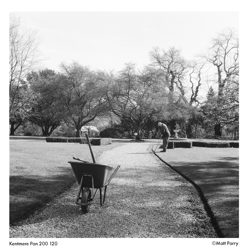 KENTMERE 200 Black & White Film - 120 Format