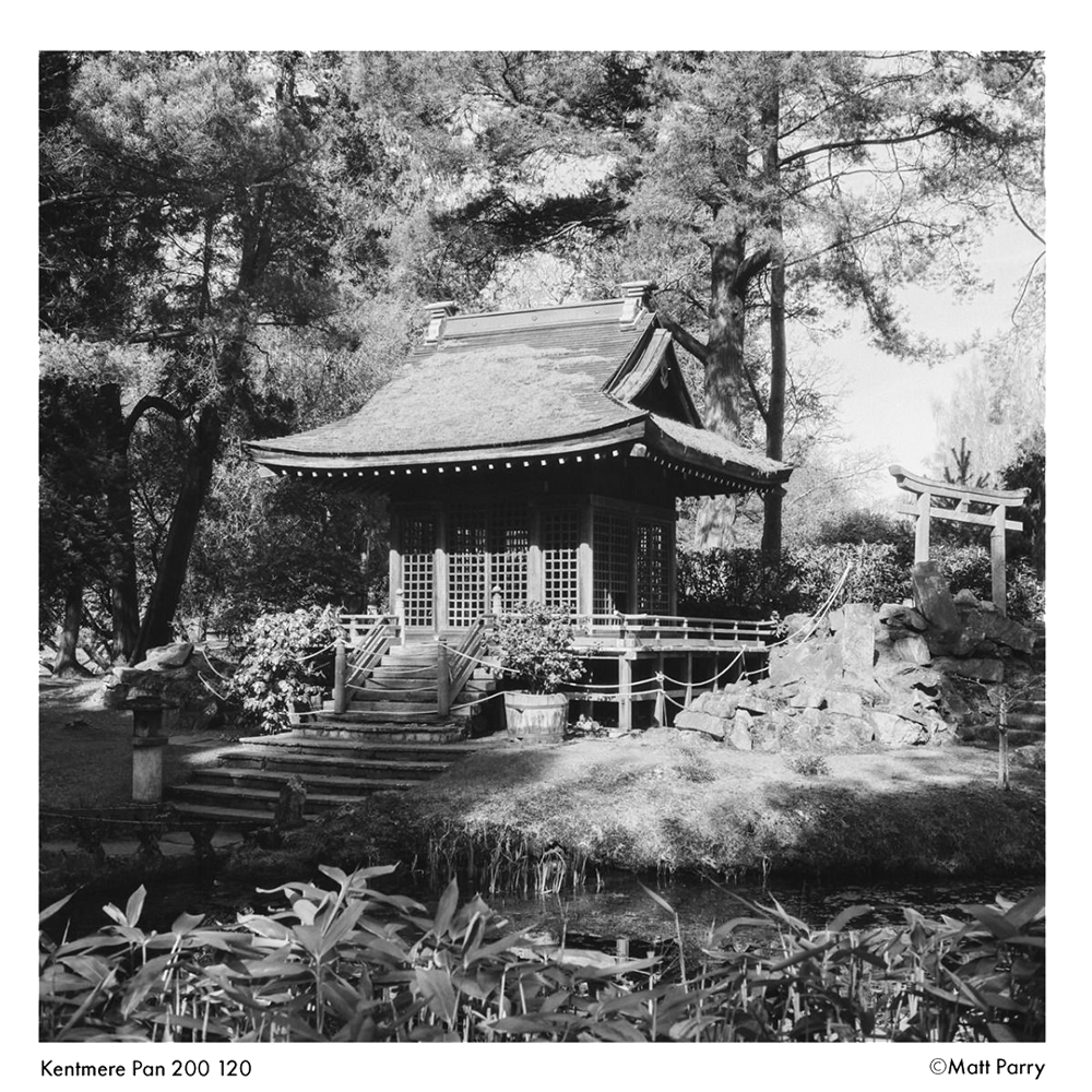KENTMERE 200 Black & White Film - 120 Format