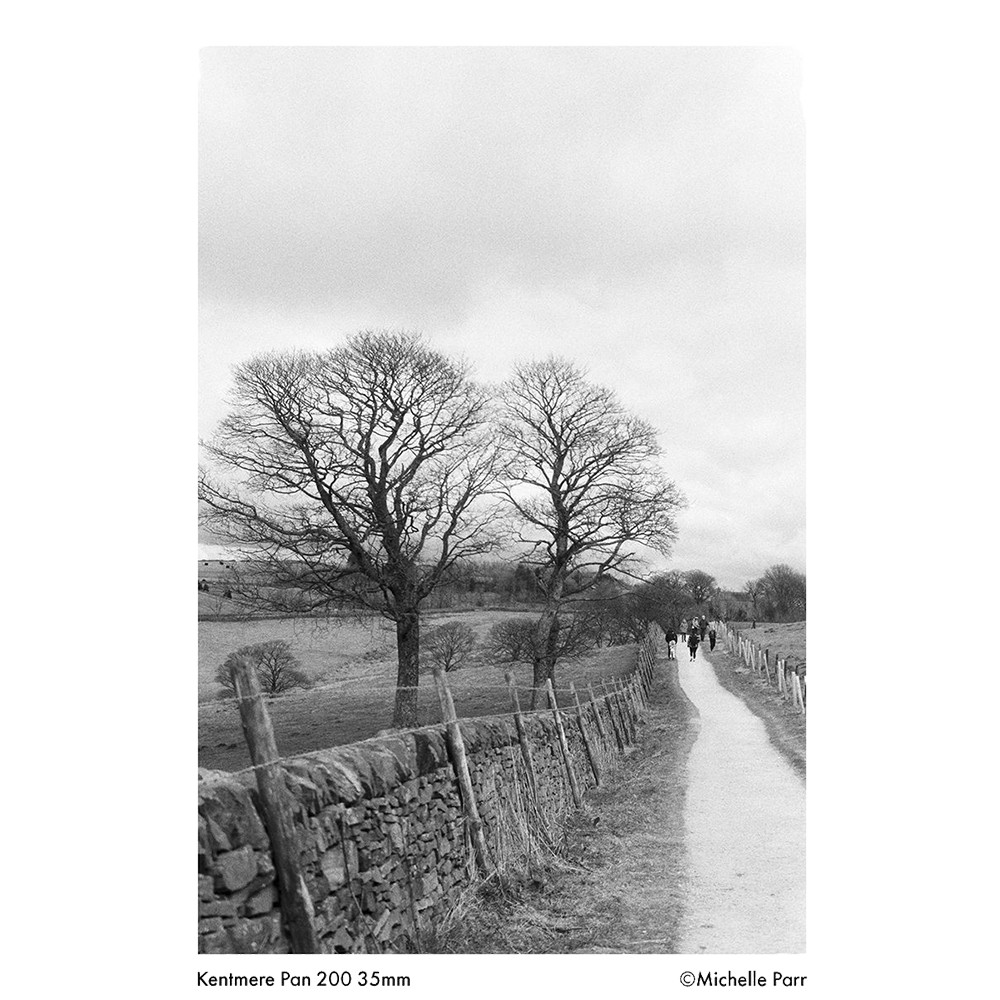 KENTMERE 200 Black & White Film - 35mm, 24 EXP