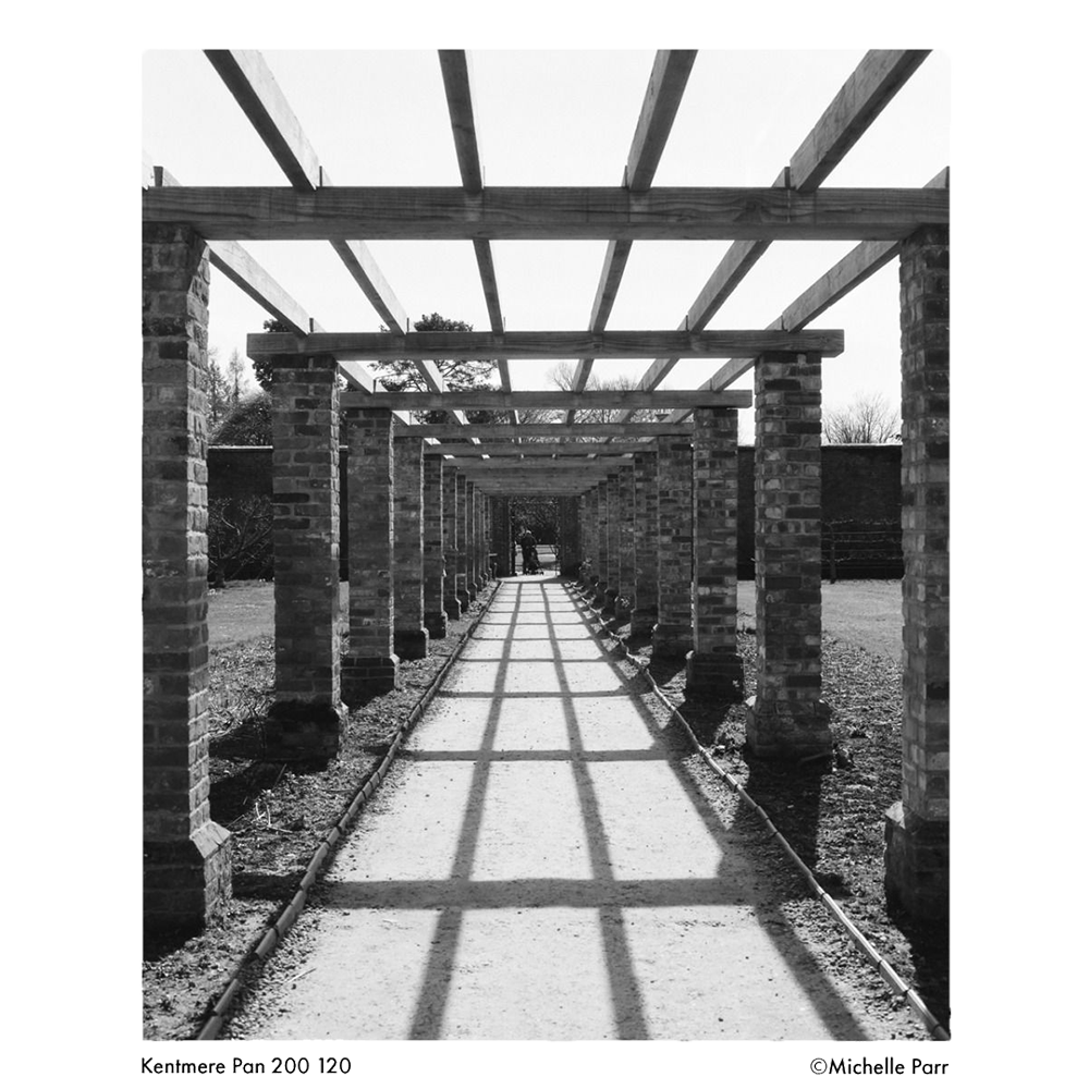 KENTMERE 200 Black & White Film - 120 Format
