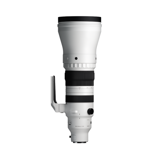 Sigma 300-600mm f/4 DG OS | Sports Lens