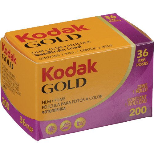 Kodak Gold 200 Color Negative 35mm Film, 36 exposures