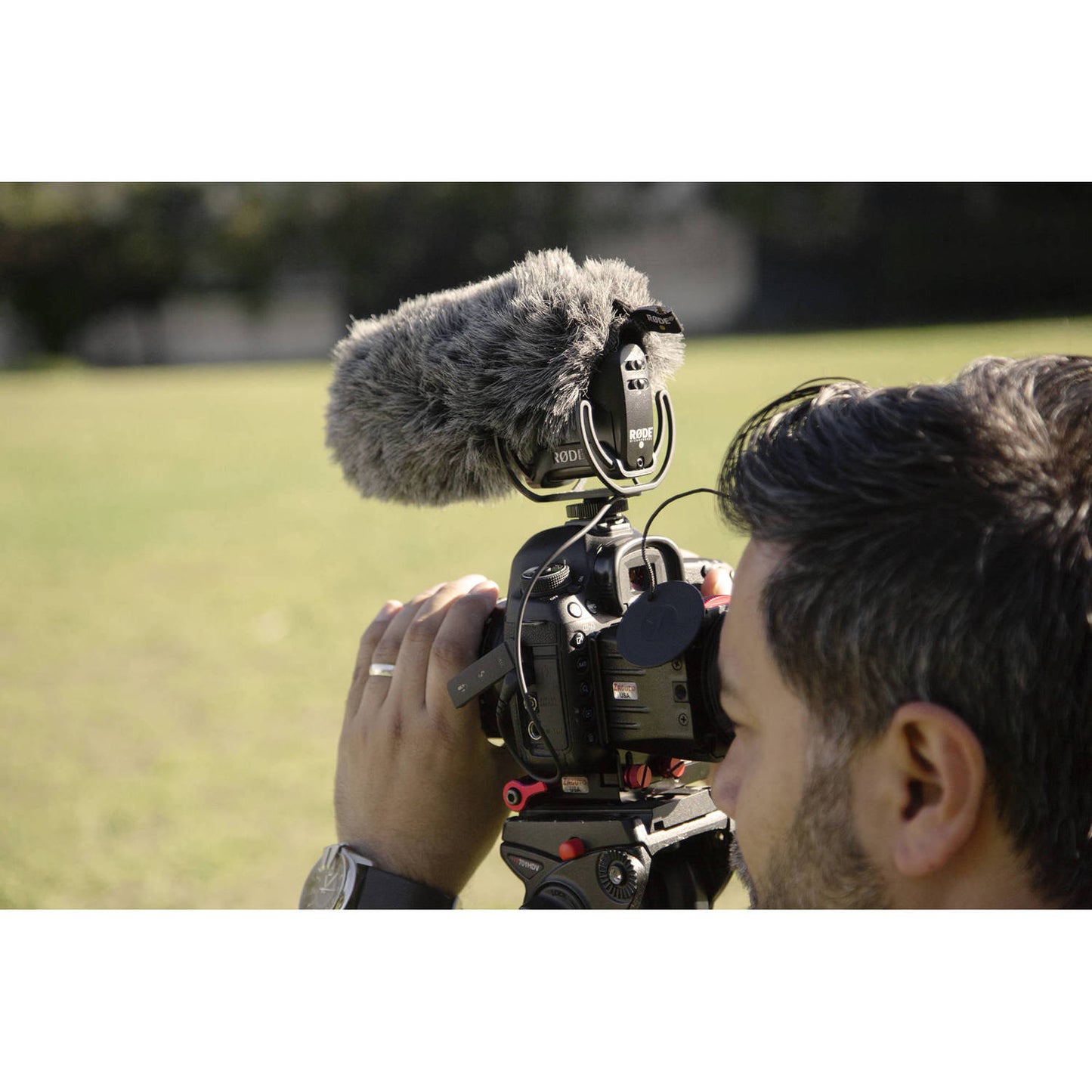 RØDE Deadcat Vmp+