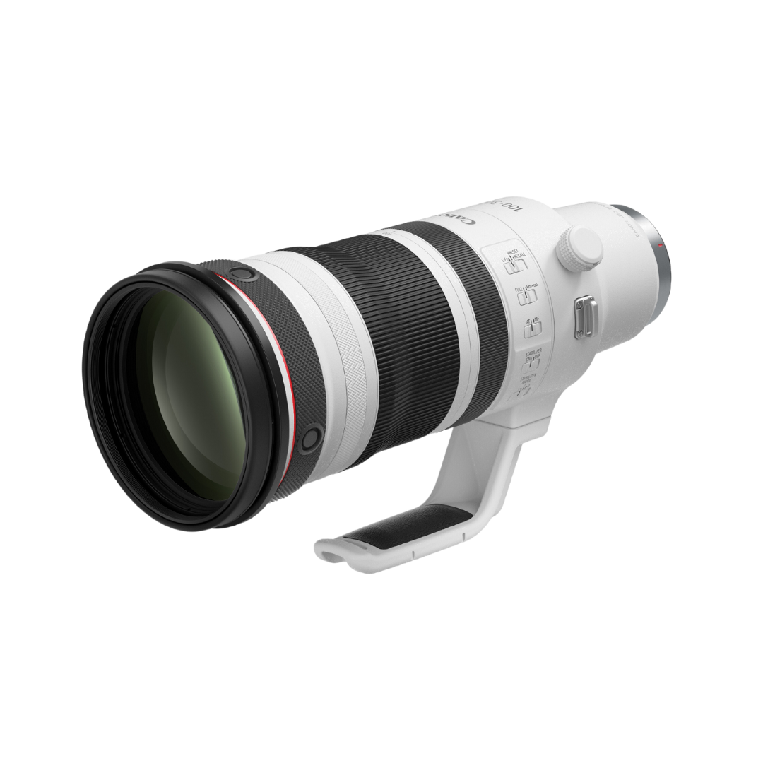 Canon RF 100-300mm f/2.8 L IS USM Lens
