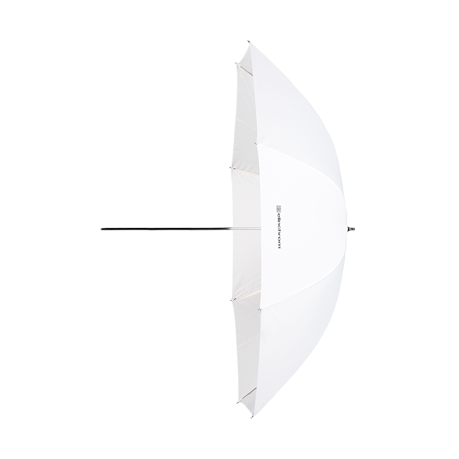41" Shallow Translucent