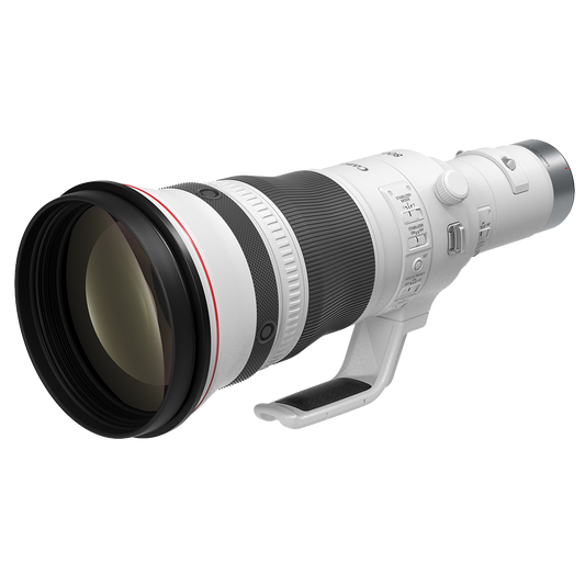 Canon RF 800mm F5.6 L IS USM Lens