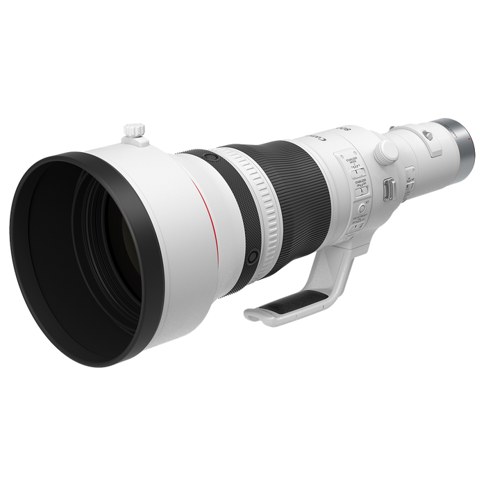 Canon RF 800mm F5.6 L IS USM Lens