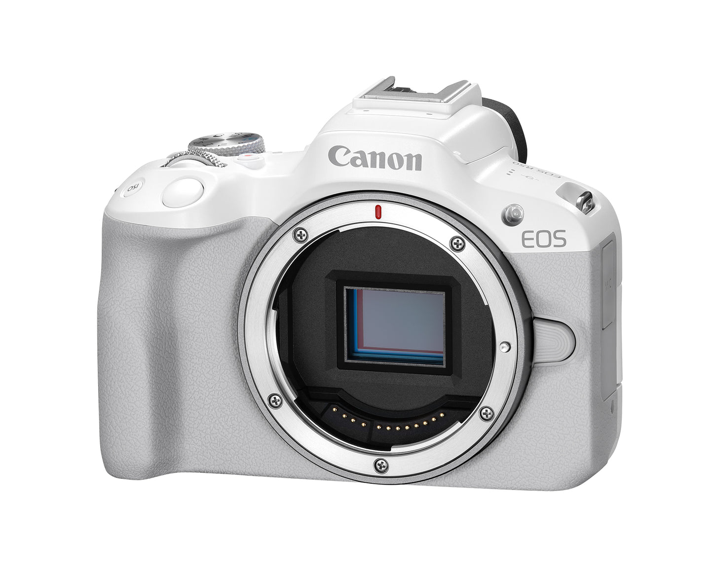 Canon EOS R50 Mirrorless Camera