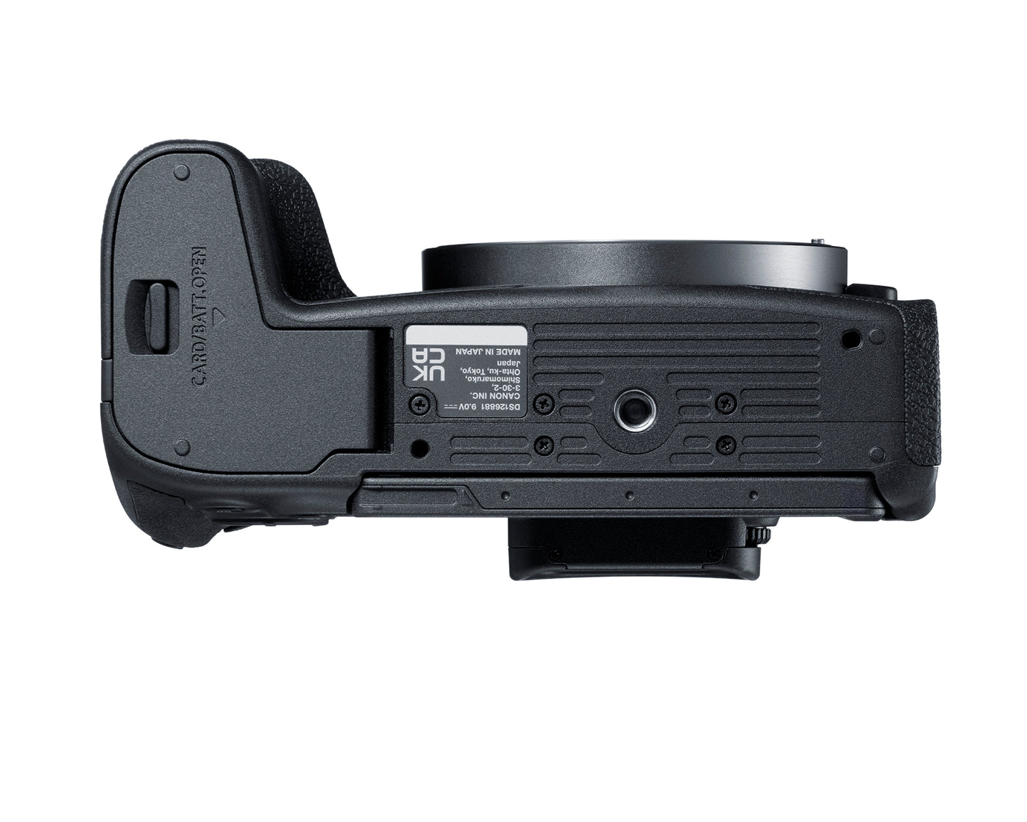 Canon EOS R8 Mirrorless Camera