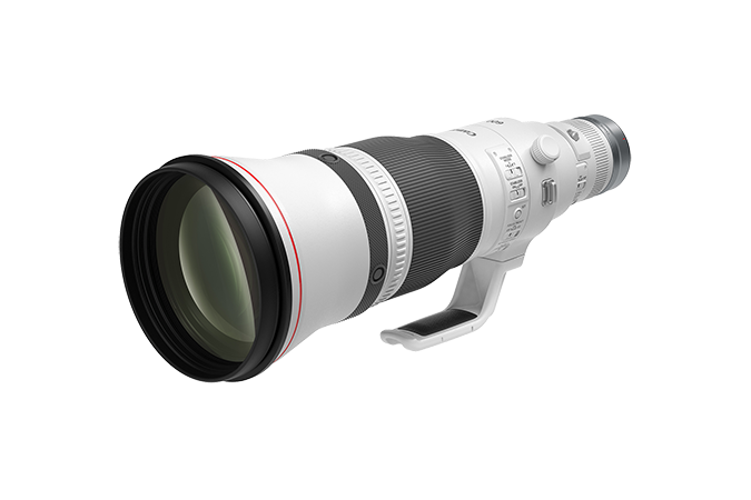 Canon RF 600mm f/4 L IS USM Lens