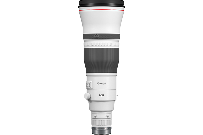 Canon RF 600mm f/4 L IS USM Lens