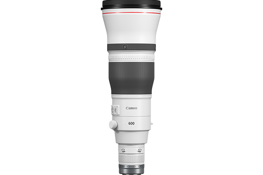 Canon RF 600mm f/4 L IS USM Lens
