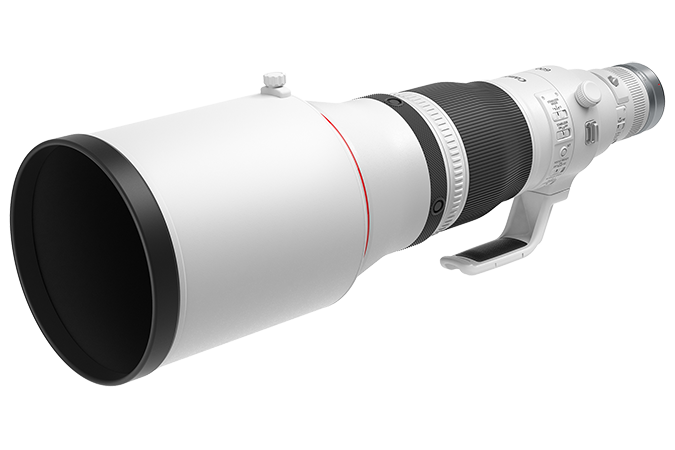 Canon RF 600mm f/4 L IS USM Lens